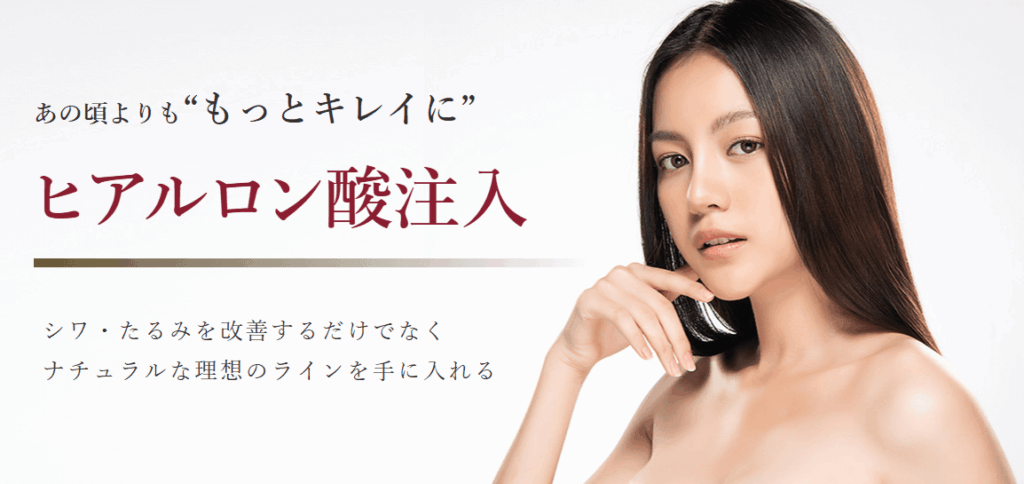 東京青山クリニック 新潟院-ヒアルロン酸FV