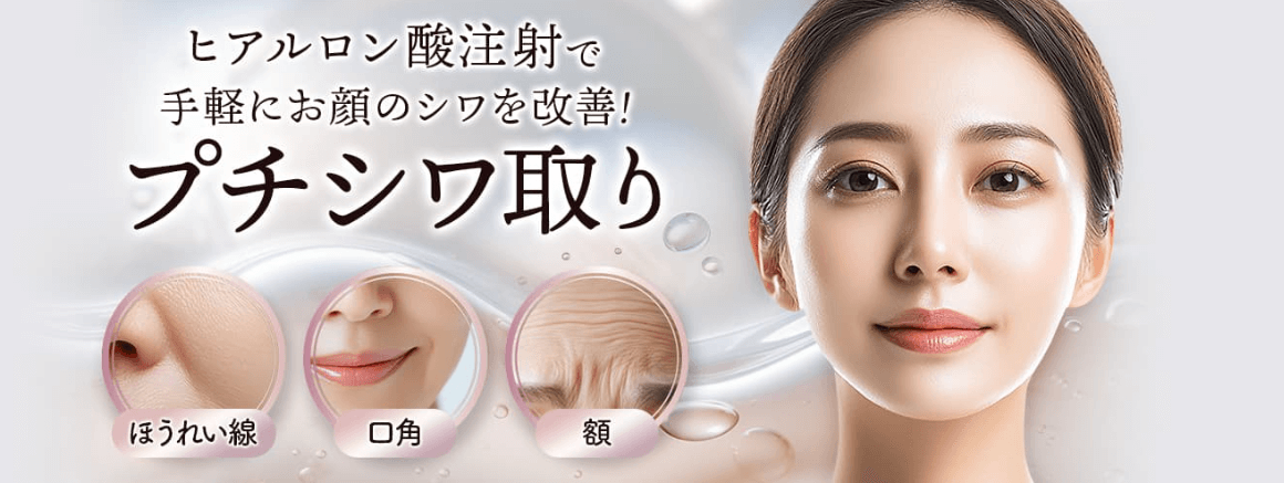 品川スキンクリニック-FV
