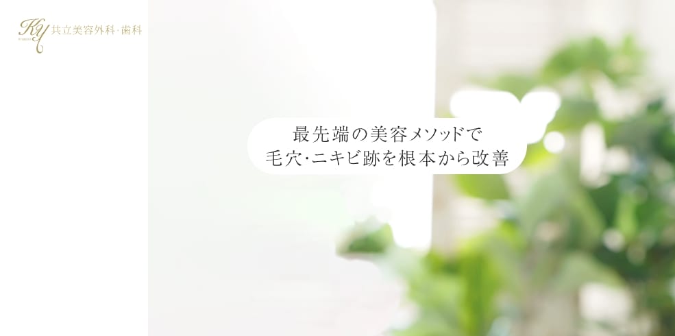 共立美容外科の美容医療FV