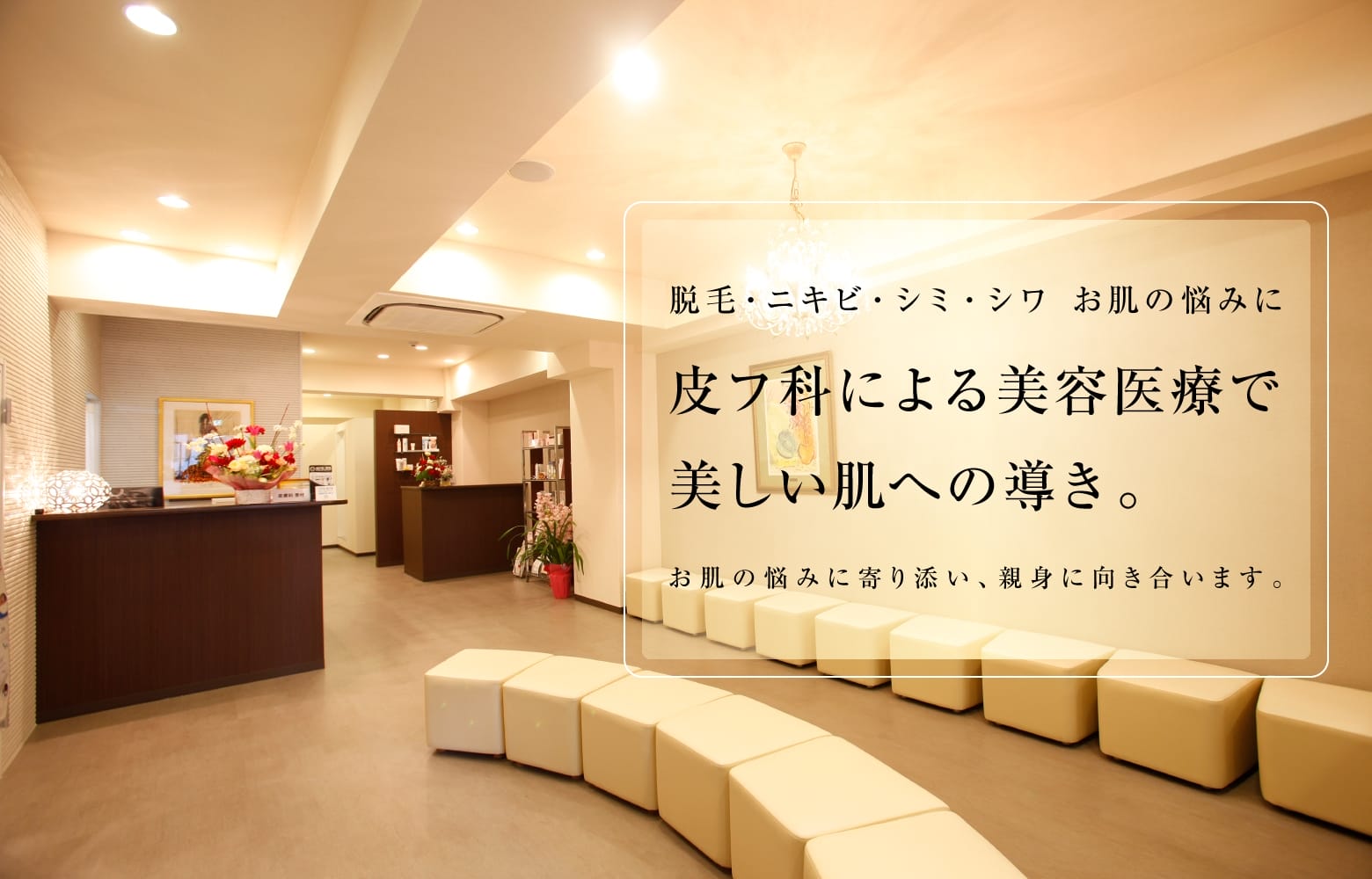 茶屋町皮フ科クリニックFV.